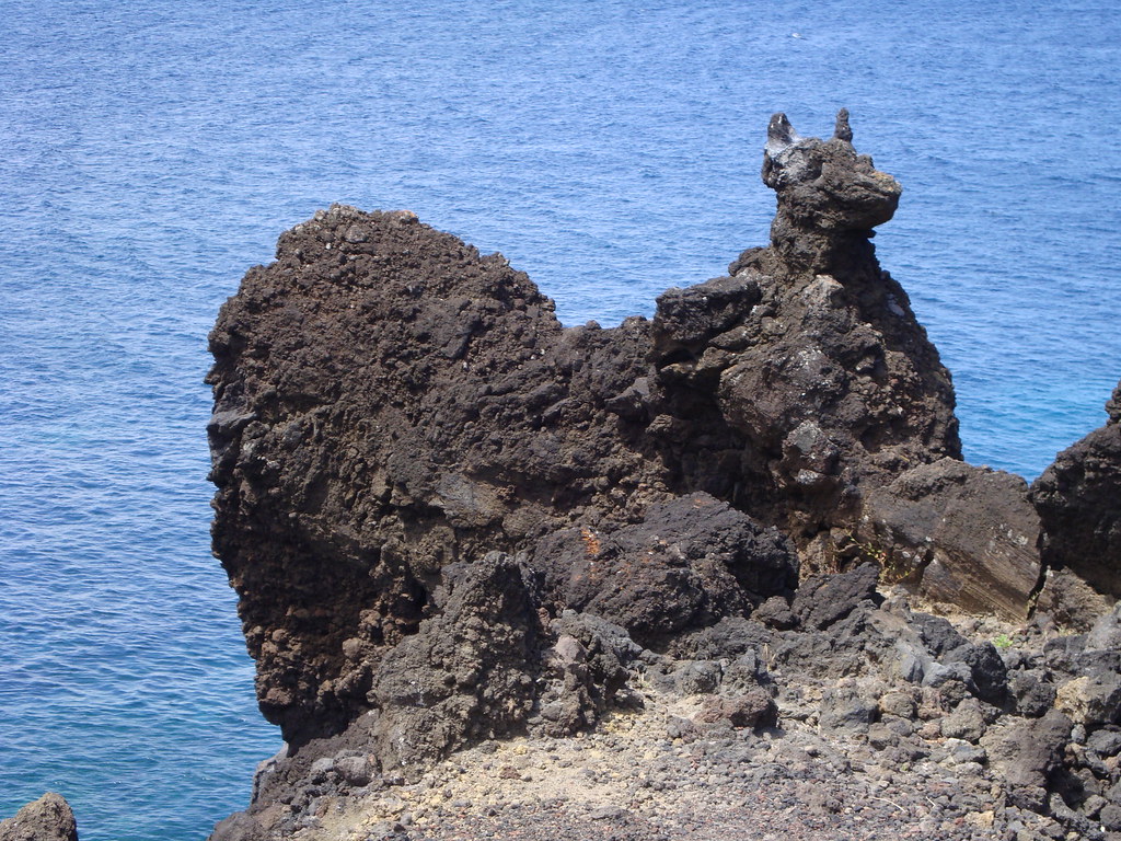 A dog-shaped rock with googly eyes, captioned 'My valentine is a rock—literally and emotionally'
