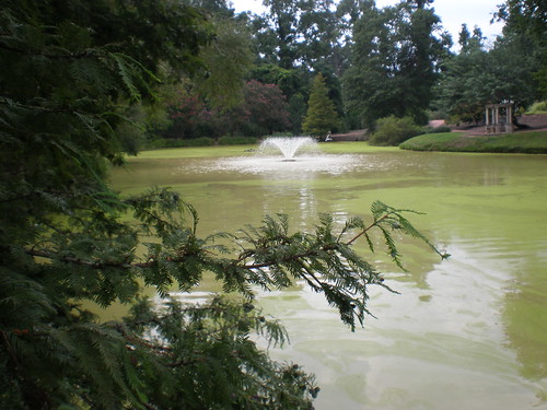 sc southcarolina aiken hopelandsgardens