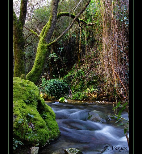 españa naturaleza nature rio spain agua árboles flickr natura cádiz fp sendero elbosque benamahoma riomajaceite olétusfotos pnsierradegrazalema fvargas