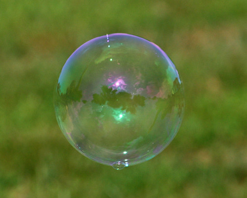Fun with Bubbles | by Scrounger & Doxie