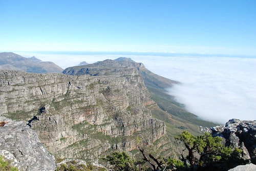 South African City