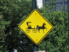 Central  Park Carriage Horse Sign