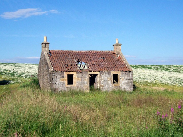 Cottage in The Field