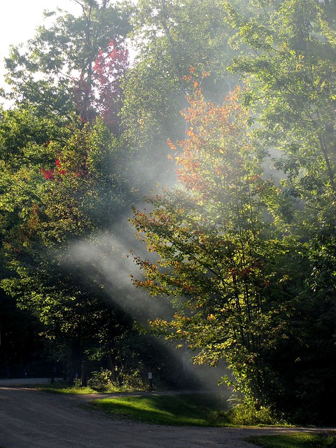 Smoke And Sun Rays, MilleLacs Kathio State Park, Onamia, MN