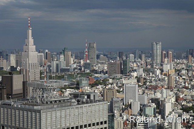 Tokyo - View from Metropoletan Government Building