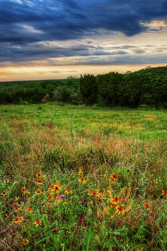 cloud sun flower clouds sunrise texas vibrant tx meadow hillcountry wildflower rattlesnake hdr yucca texashillcountry photomatix 3exp shadowmapping oscote nerverays