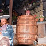 Disneyland July 2010 006