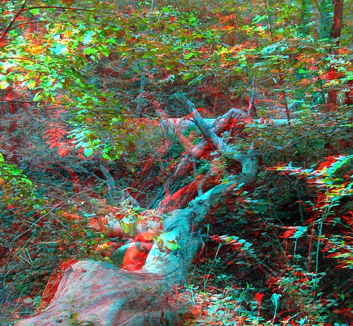 park sun tree nature stereoscopic stereophoto scenic anaglyph iowa shade siouxcity anaglyphs stonepark redcyan 3dimages 3dphoto 3dphotos 3dpictures stereopicture