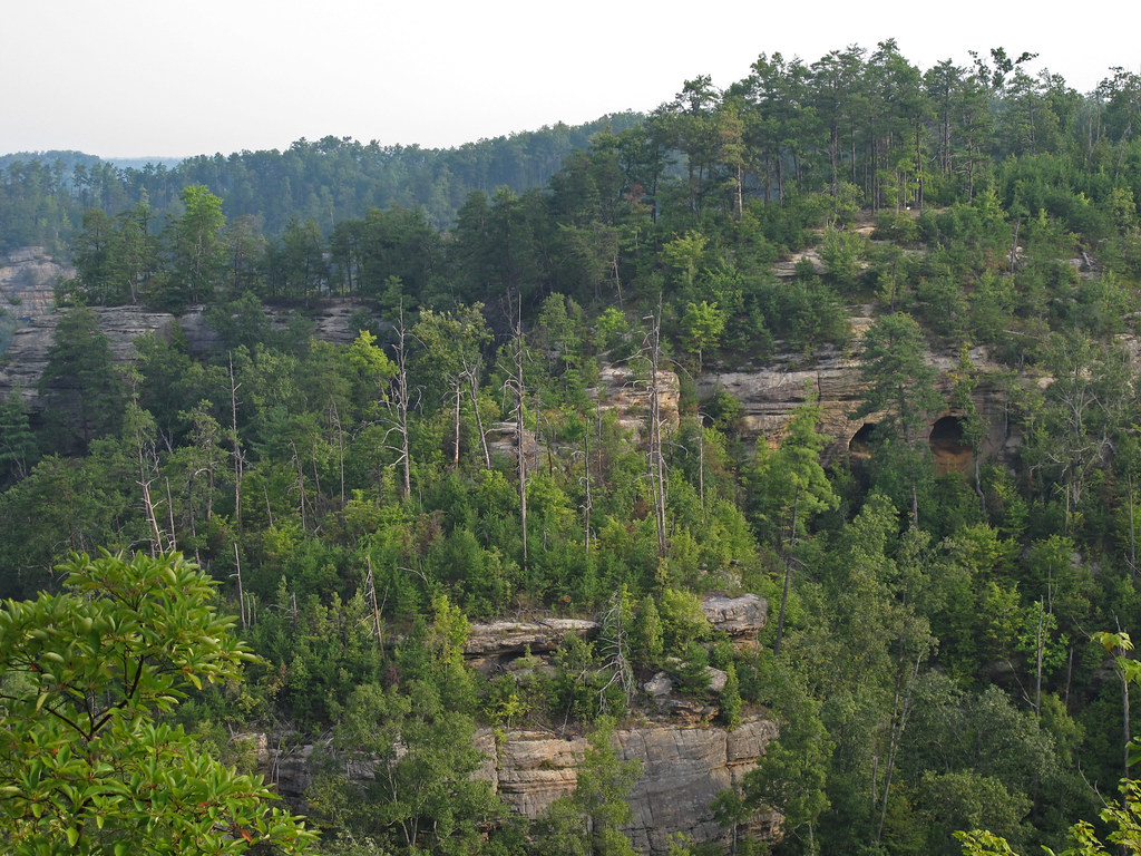 D. Boon Hut Trail