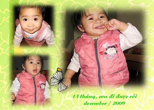 13-2 | by thuphuong132004