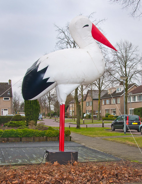 Mega ooievaar - Giant stork