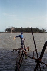 Pescador en la Barra Norte de Tuxpan, Ver.