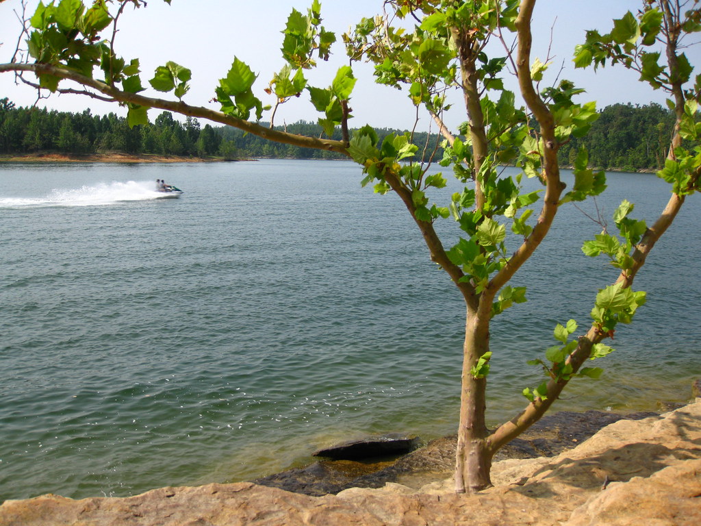 Nature walk