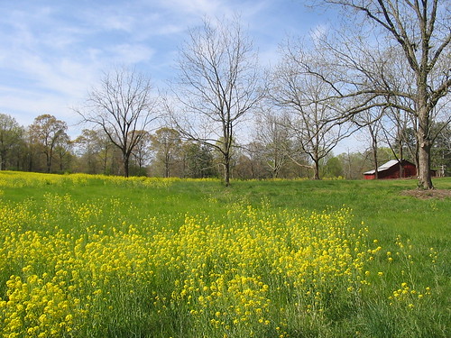 blue red white green yellow barn georgia spring shots great favorites helen pasture myfavorites yellowflowers springday greatshots
