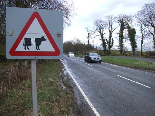 Warning Belties! 2 | by oddobjects