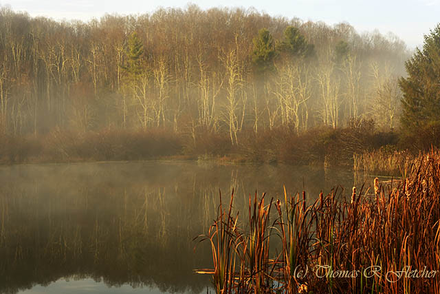 Autumn Mist on Lake