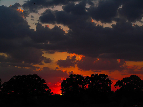 Deep Red Fort Worth by jmark media llc, Parents back yard again.sunset red sky cloud beautiful texas tiny malone