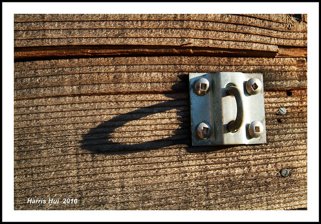 Buckle of My Garden Shed 6703e