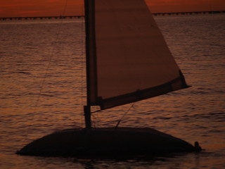 Flickr photo: Protei-003 moving slowly