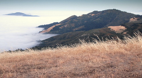 california statepark park ca morning fog sunrise outdoors bay state sonoma hike area sugarloaf northern winecountry