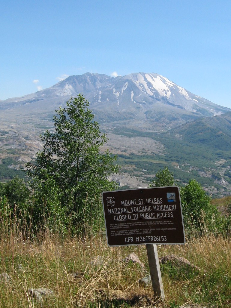 Research Area At Mt St Helens