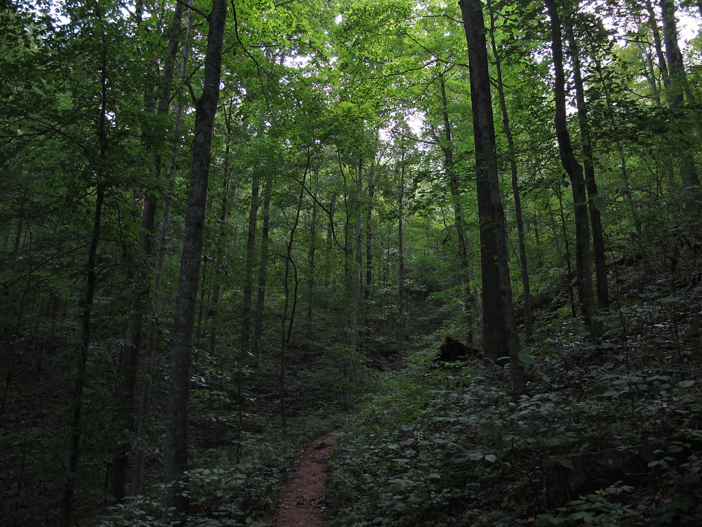 Courthouse Rock Trail #202