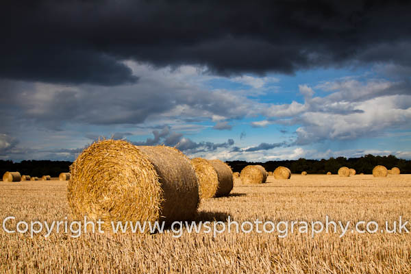 Harvest time , near Haddington