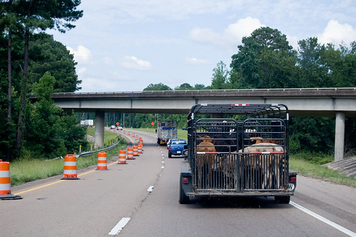 Trailer 'O Meat | by The Goat Whisperer