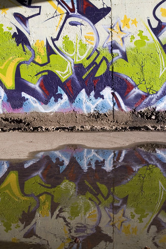 Expression Reflection | by StenzOne