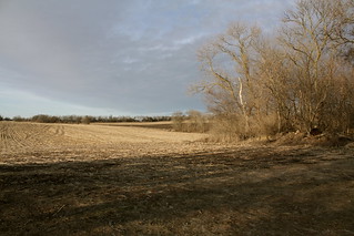 Madison farm