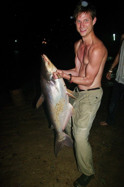15kg cat fish