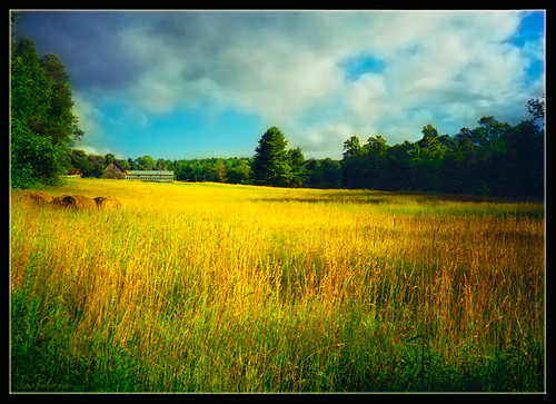 landscape vermont august fields hay