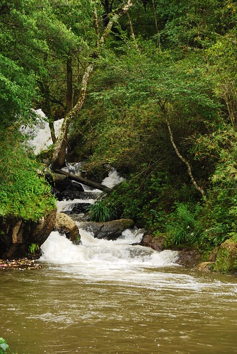nature river mexico nikon valledebravo d60