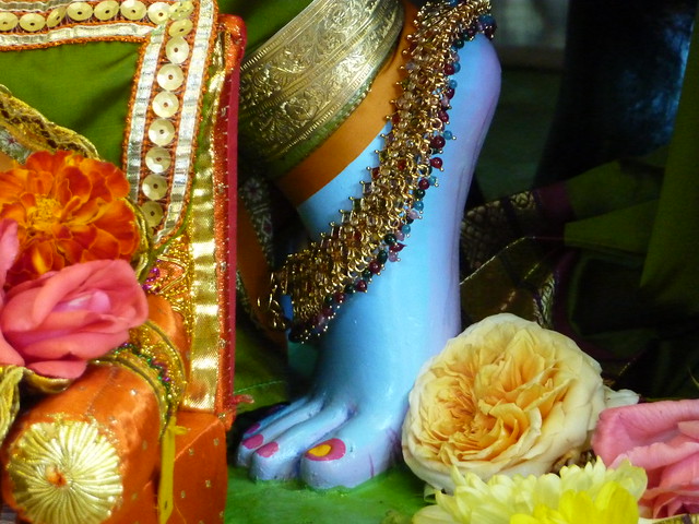 The Lotus feet of Shree Krishna