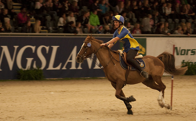 Oslo Horse Show 2010 - 4