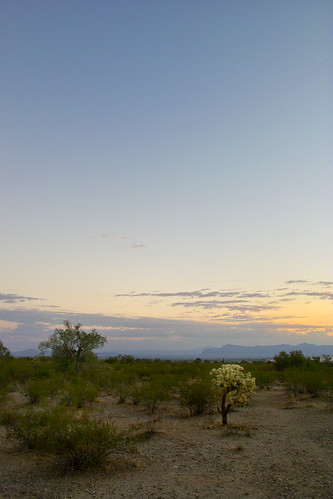 morning arizona usa clouds sunrise desert unitedstatesofamerica sonorandesert pinalcounty scenicsnotjustlandscapes