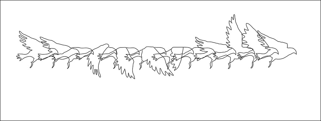 Bird flying sequence | Bird flying - hand drawn animation ex… | Flickr