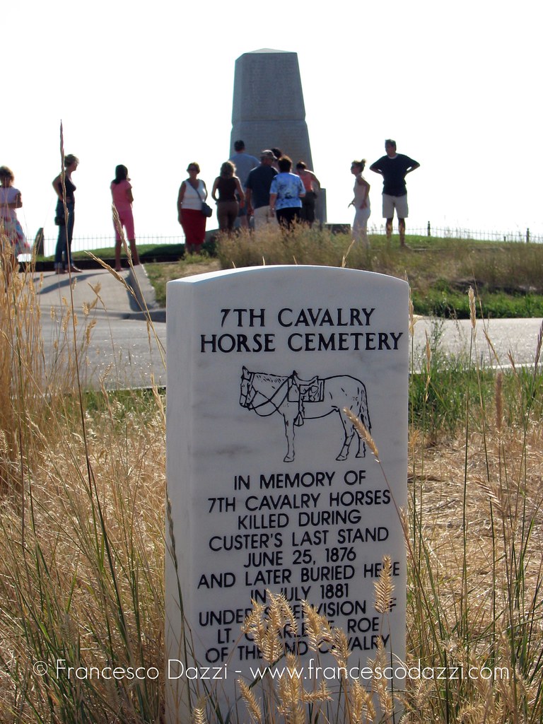 Montana Little Bighorn Battlefield Monument Horse Cemetery Custer Stereoview