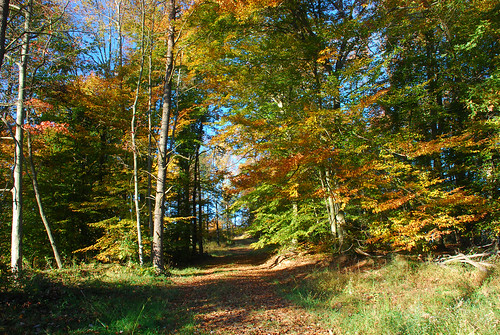autumn color fall landscape october westvirginia waverly