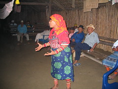Sat, 09/04/2005 - 21:12 - Kuna woman participating in community workshop on traditional knowledge, Panama

More information: biocultural.iied.org