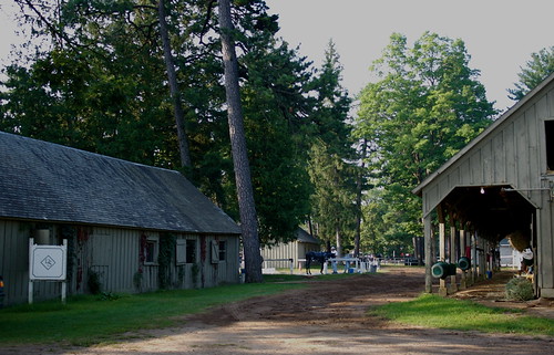 Horse Haven Activity | by straubted