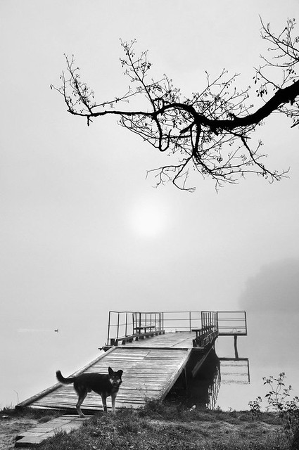 Ранок на озері Пісочне  / Morning on the lake Pisochne