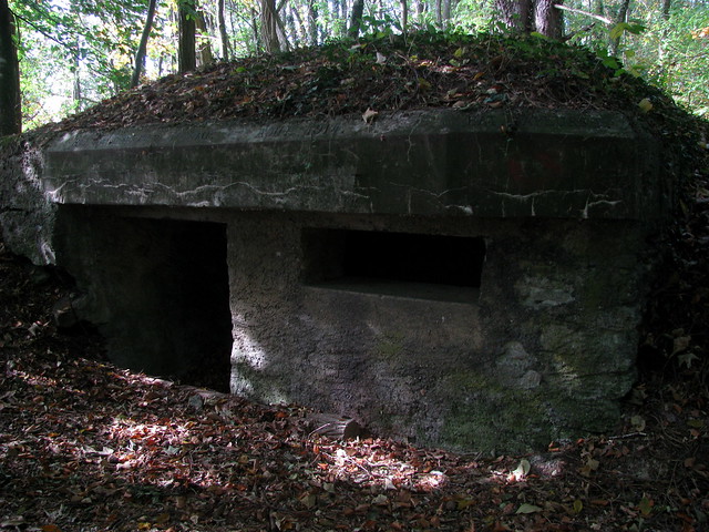 Bunker aus dem ersten Weltkrieg auf dem Mont Vully , Kanton Freiburg , Schweiz