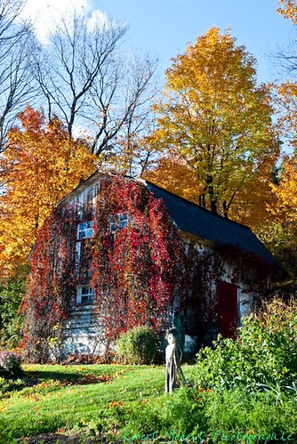 autumn barn automne grange charlevoix baiestpaul