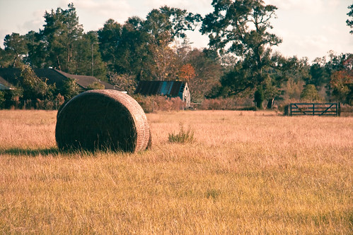 usa rural spring texas unitedstates fields farms harris hay haybales hayfields ruraltexas harriscounty ruralspring