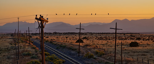 365/286. by gpvreeland, birds on a wire.  amtrak rail lines near lamy, nm.  birds always seem to watch sunsets, too.railroad