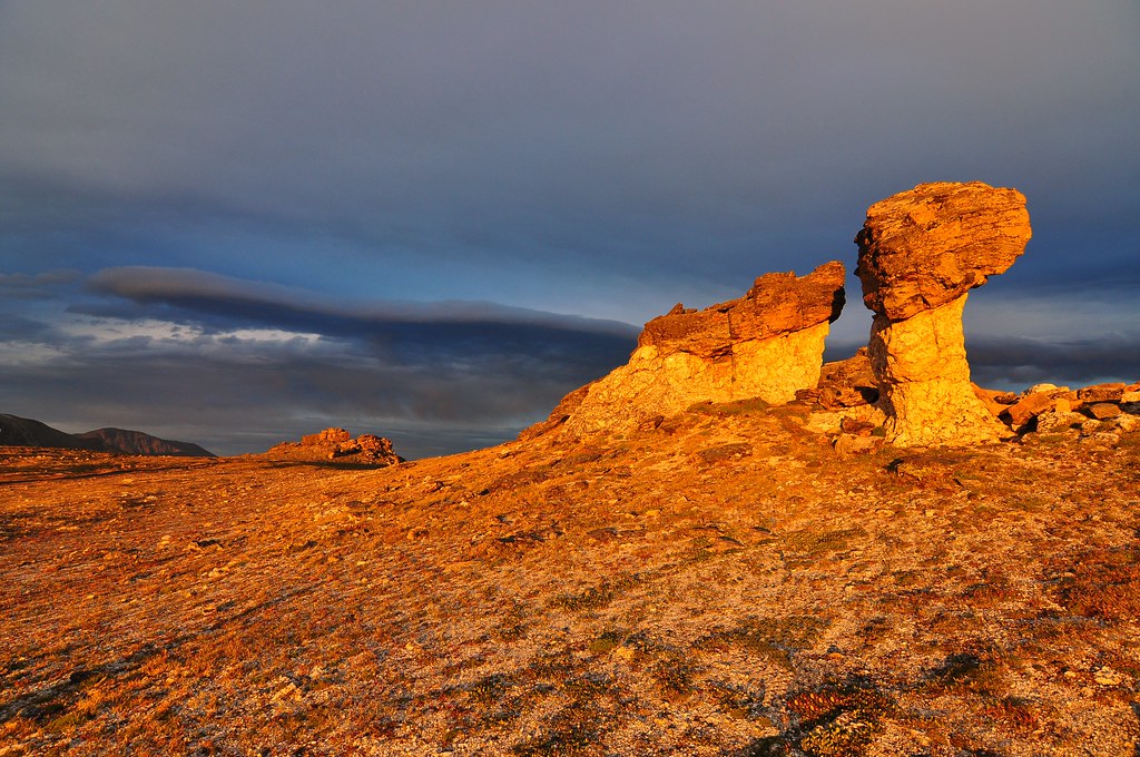 Mushroom Rocks | On the alpine tundra on top of the Rockies,… | Flickr