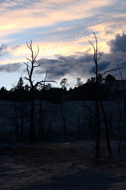 sunset over mammoth hot springs