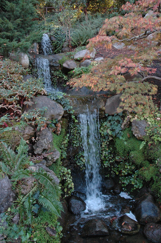 Hakone Gardens, Saratoga