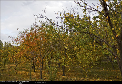 autumn alan landscape karaj پاییز کرج namak منظره نمك‌آلان